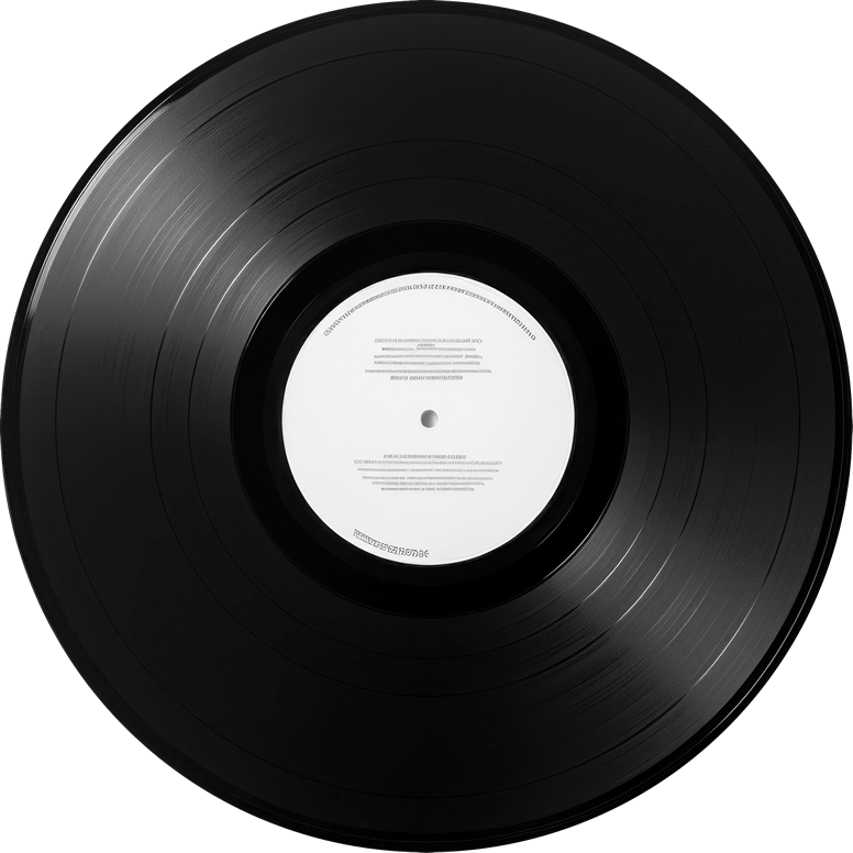 Vinyl Record